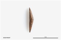 藏品(魚卡子)的圖片